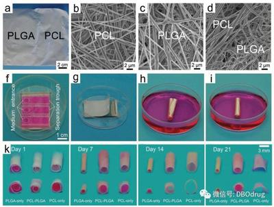 生物3D打印材料 合成材料在人造器官中的關(guān)鍵作用